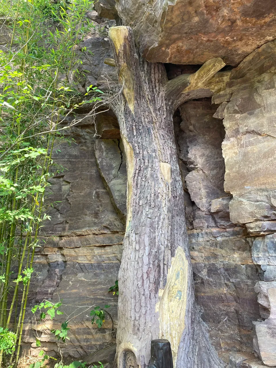 Boulders supported by tree