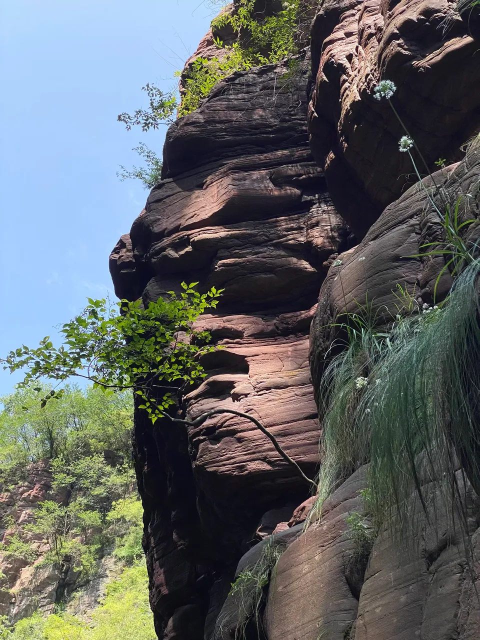 Face in the mountain